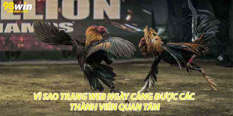 Vì sao trang web ngày càng được các thành viên quan tâm
